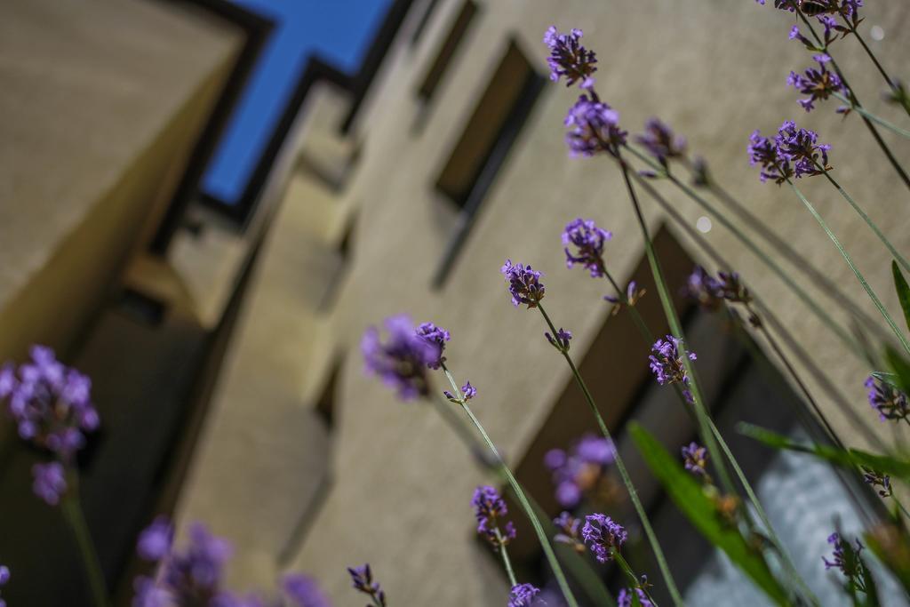 Hotel Five Seasons Fürth Εξωτερικό φωτογραφία